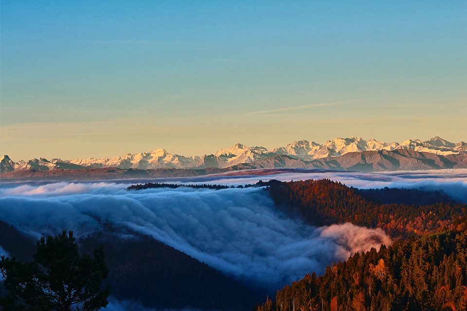 Explore Borjomi-Kharagauli National Park geotv.ge